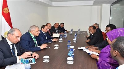 السيسي يلتقي بالرئيس الصومالي على هامش أعمال القمة الإفريقية
