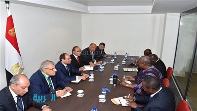 خلال لقائه بالسيسي.. رئيس غانا يشيد بدور 