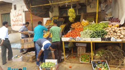 بالصور.. إزالة الإشغالات والأبنية المخالفة بحي المطرية 