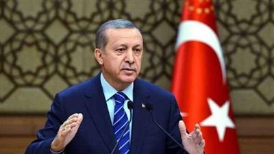 خبير سياسي: أردوغان سيلجأ لانتخابات رئاسية مبكرة 
