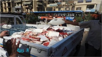 بالصور.. ضبط سيارة لحوم فاسدة في شبرا