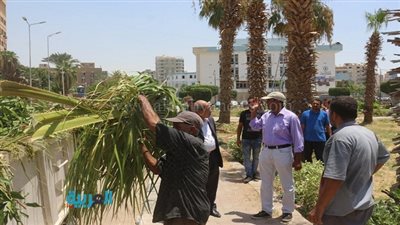 استكمال إزالة العقار المخالف بمنطقة الفرز في السويس