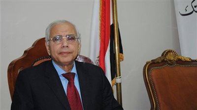 محسن فوزي: الأحزاب لا تمتلك كوادرًا لخوض انتخابات المحليات