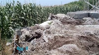 بالصور.. إزالة التعديات على الأراضي الزراعية ببنها والقناطر الخيرية