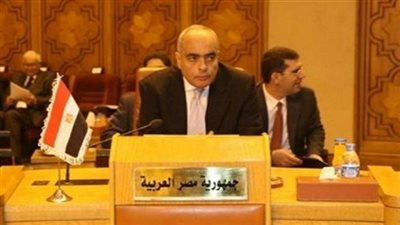 البعثة المصرية بالأمم المتحدة تحتفل بالذكرى الـ64 لثورة يوليو 