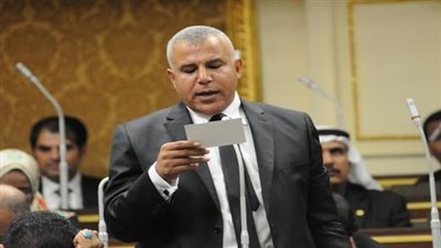 برلماني: الرئيس يتابع حل الأزمات الطائفية