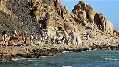 المحميات الطبيعية.. سحر الجمال يذوب عشقًا في مصر.. 