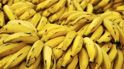 الموز يتراجع 50 قرشًا بسوق العبور اليوم