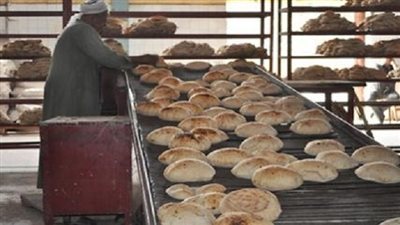تحرير 345 محضرًا للمخابز البلدية والمطاحن بالجيزة 