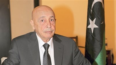 رئيس البرلمان الليبي يلتقي أبوالغيط لمناقشة الأزمة الليبية