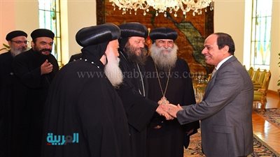 بالفيديو.. برلمانية: لقاء السيسي بالبابا يجفف منابع الكراهية