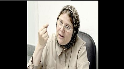 بالفيديو.. برلمانية: العدادات الكودية تحل أزمة سرقة الكهرباء