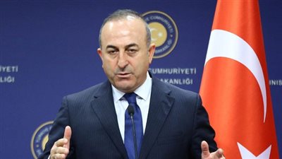 وزير خارجية تركيا: طلبنا من واشنطن احتجاز جولن لمنع هروبه