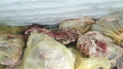 ضبط 42 كليو لحوم بلدية مجهولة المصدر قبل بيعها بطنطا
