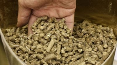 ضبط 270 طن أعلاف فاسدة بالمنوفية