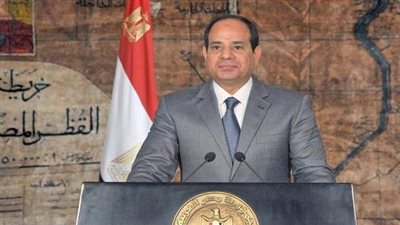 مساعد رئيس الوزراء: حكم السيسي رؤية واستراتيجية