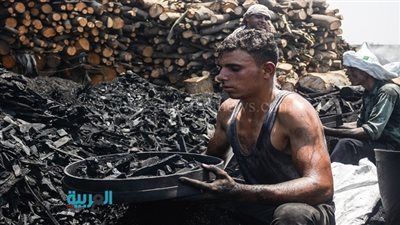 عمال الفحم يتحدون 