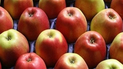 التفاح البلدي يرتفع لـ7 جنيهات بسوق العبور اليوم