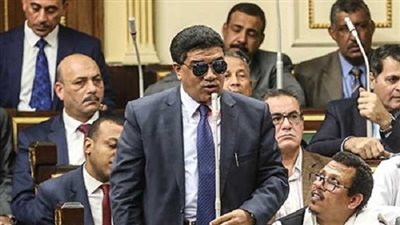 بالفيديو.. برلماني: الموافقة على منح الطفل المعاق معاشًا شهريًا