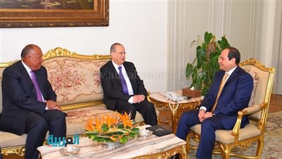 الرئيس يبحث تنفيذ مشروعات في الزراعة والاستزراع السمكي مع قبرص