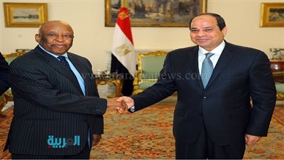 السيسي يستقبل رئيس مفوضية 