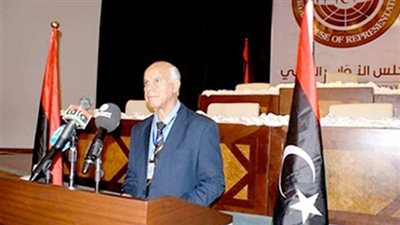 بالفيديو.. محمد شعيب: التدخلات الدولية في طرابلس تهدد مصر