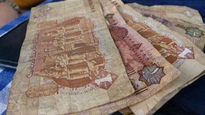 وزير المالية: برنامج الإصلاح الاقتصادي مصري 100%