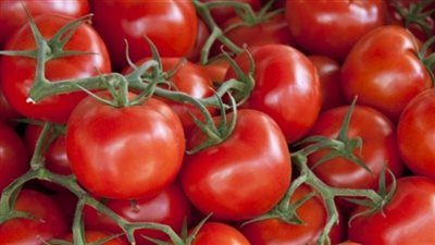 الطماطم ترتفع لـ4.5 جنيه بسوق العبور اليوم
