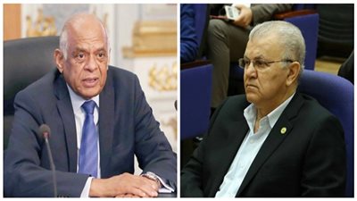 بالفيديو.. برلماني لـ