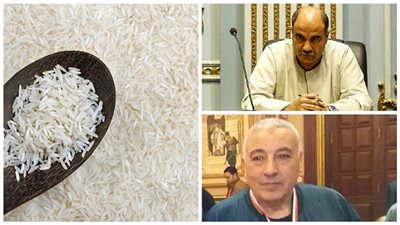 وقف تصدير الأرز يخرب بيوت الفلاحين.. 