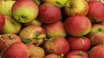 7 جنيهات لكيلو التفاح البلدي بسوق العبور اليوم