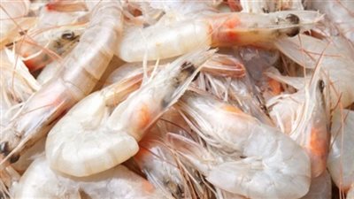 كيلو الجمبري يسجل 120 جنيهًا بسوق العبور اليوم