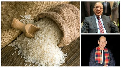 الحكومة توقف تصدير الأرز ومجلس النواب 