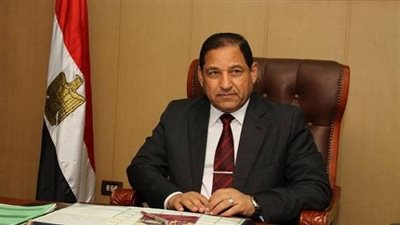 بالفيديو.. محافظ الغربية عن الولادة بـ