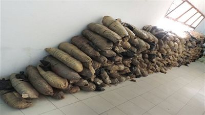 شرطة النقل: ضبط 11 قضية مخدرات و148 بائعًا متجولاً في حملة أمنية