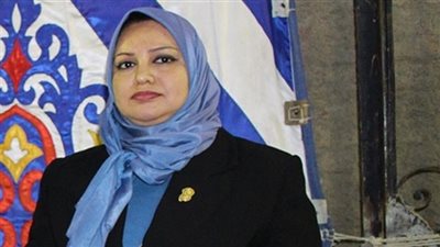 برلمانية: ما يثار حول شراء مصر 4 طائرات غير صحيح 