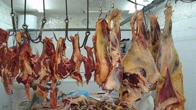 ضبط 10 طن لحوم فاسدة بالجيزة