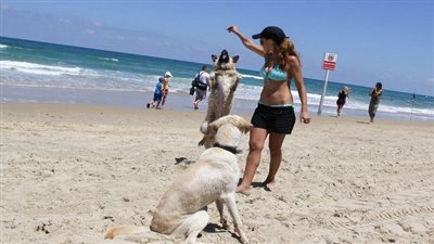 تقرير: بعض الفلسطينيين لا يتمالك أعصابه أمام الإسرائيليات على البحر