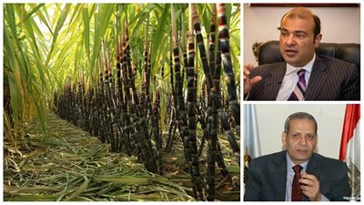 أسبوع حافل للجان البرلمان قبل انتهاء دور الانعقاد الأول.. 