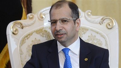البرلمان العراقي: نحتاج إلى دول المنطقة كافة لمواجهة الإرهاب