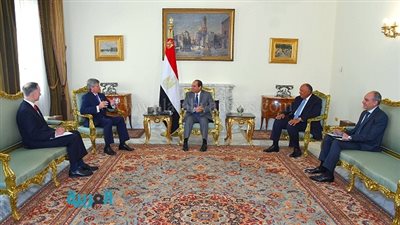 السيسي يستقبل عضو اللجنة الفرعية لاعتمادات العمليات الخارجية بـ