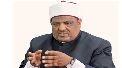 عباس شومان: المواطن مقصر تجاه حماية النيل