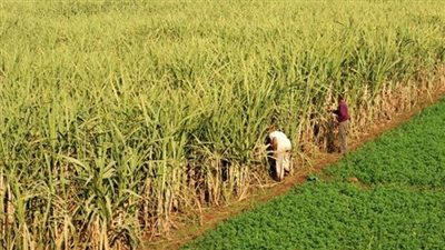 ننشر موجزًا بأهم ما جاء ببرامج الـ