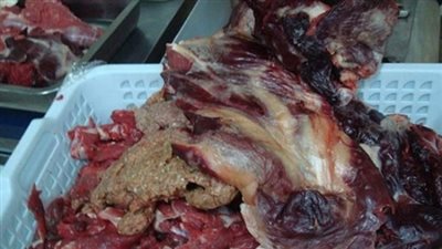 ضبط 141 كيلو لحوم فاسدة في الدقهلية