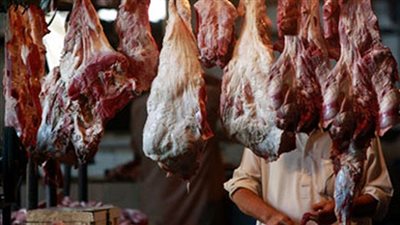 ننشر استعدادات 