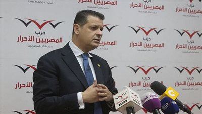 طارق رضوان: 4 لجان تناقش زيارات سامح شكري الخارجية