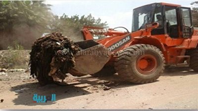 بالصور.. رفع 1022 طن مخلفات في المنوفية