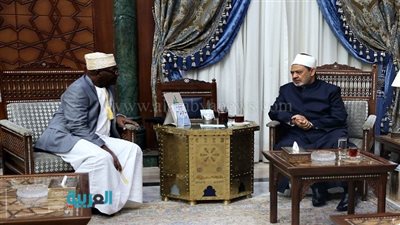 مستشار رئيس جزر القمر لشيخ الأزهر: نثق في فكركم الوسطي 