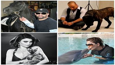 فنانون شغف قلوبهم حب الحيوانات.. أحمد مكي يعلم كلابه 