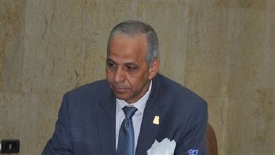 محافظ الوادى الجديد: إنشاء مصنع للأدوات المنزلية ومجمع تعليمي 